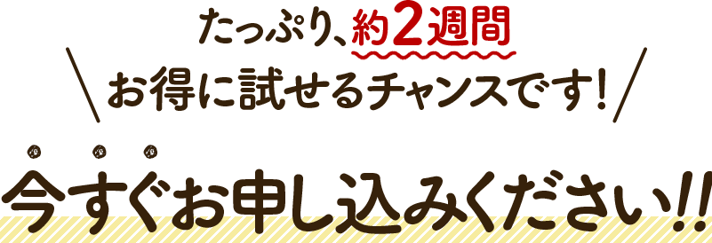 たっぷり、約2週間お得に試せるチャンスです!今すぐお申し込みください!!
